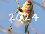 natuur 2024